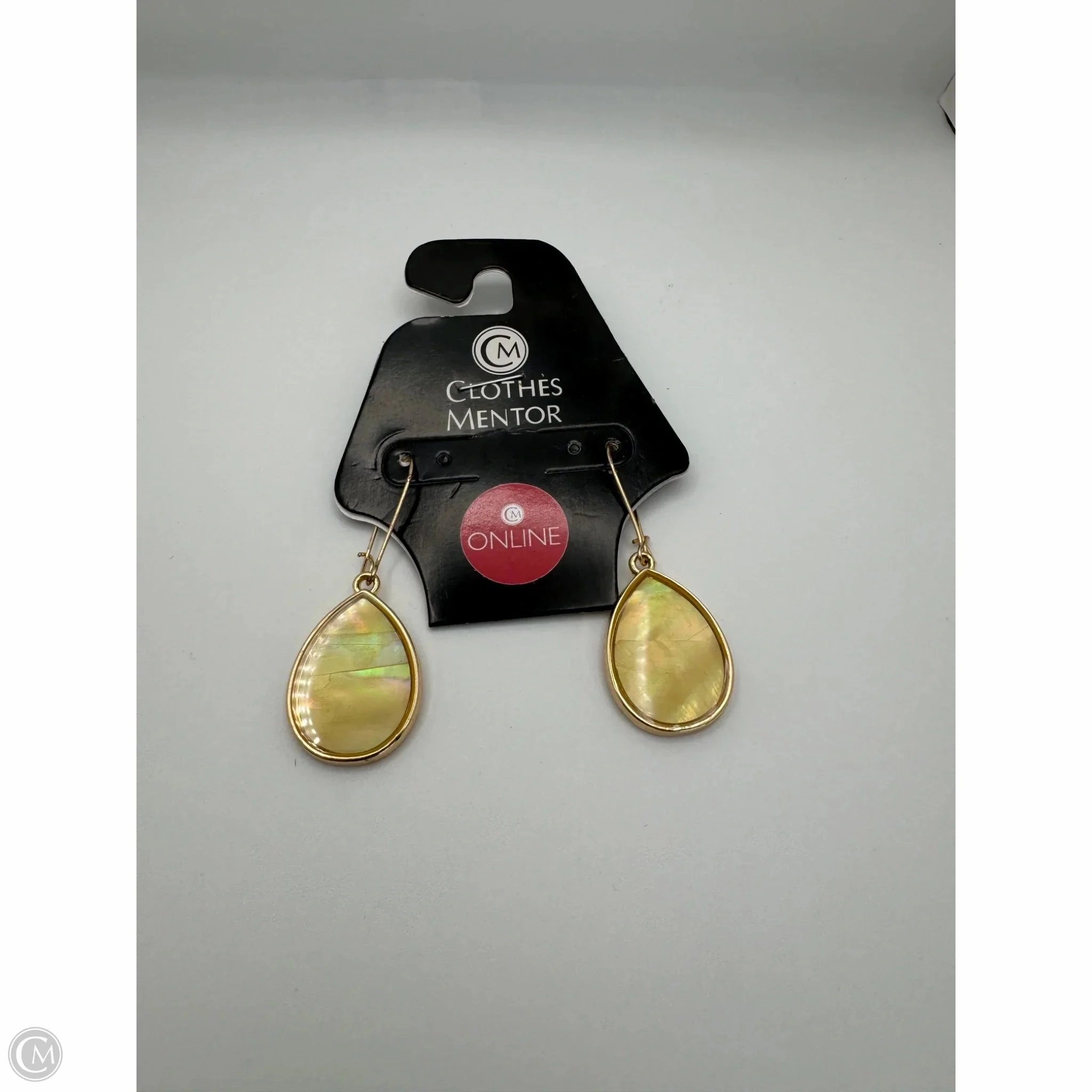 Earrings Dangle/drop By Clothes Mentor