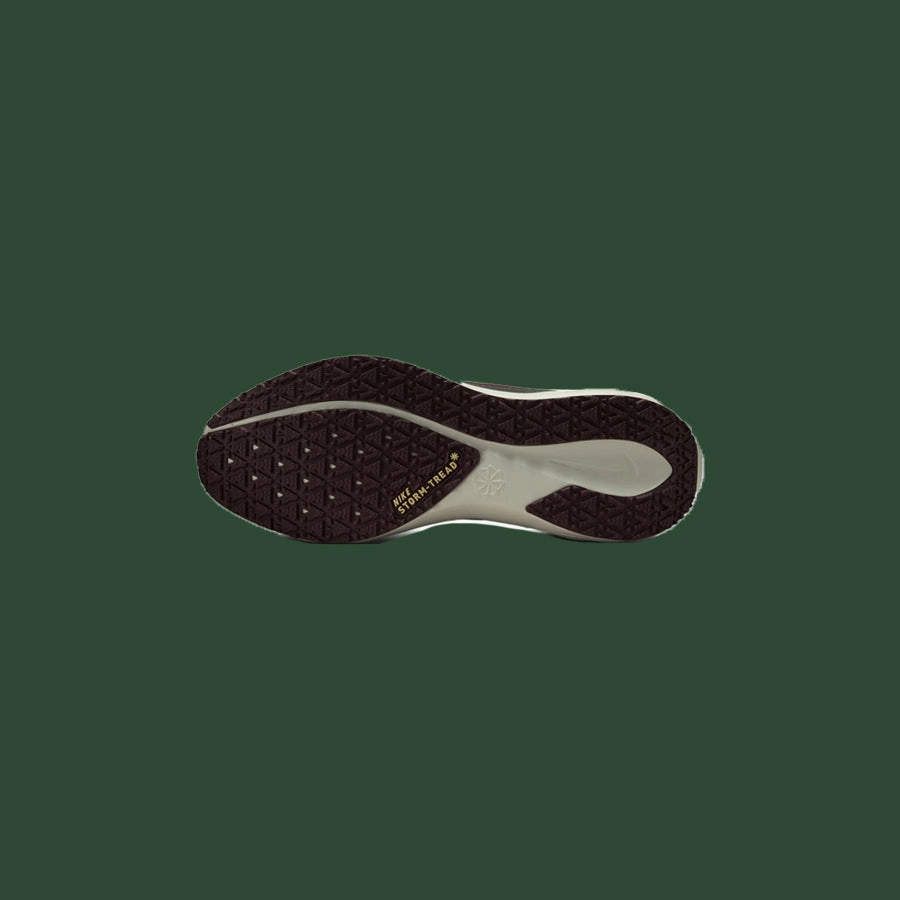 Men's Nike Pegasus 41 Gore-Tex