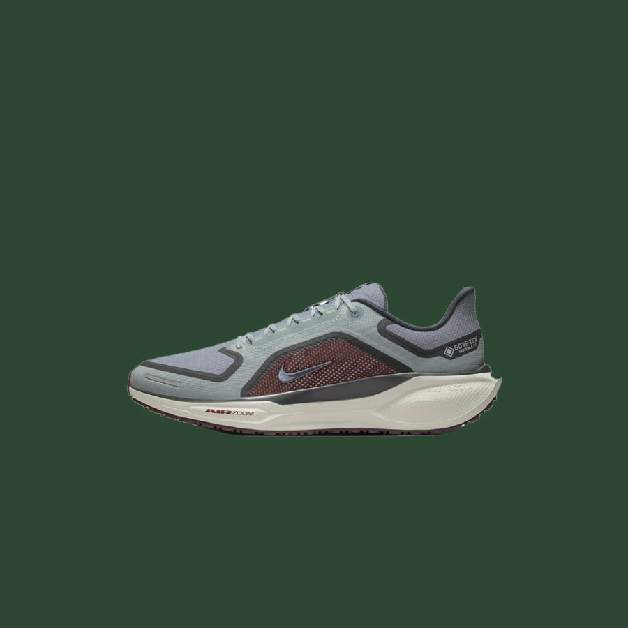 Men's Nike Pegasus 41 Gore-Tex