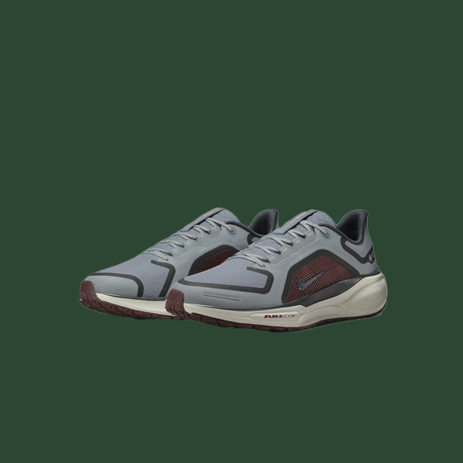 Men's Nike Pegasus 41 Gore-Tex